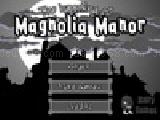 Play The haunting of magnolia manor