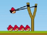 Play Angry birds halloween boxs