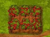 Play Fruits inc.