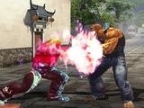 Play Perfect fighters