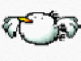 Play Big bird chase