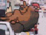 Play Chicken shoot