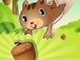 Play Family of squirrels