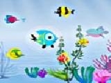 Play Fish food