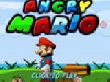 Play Angry mario