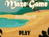 Play Maze game play30