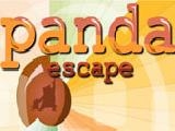 Play Panda escape