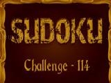 Play Sudoku challenge  114