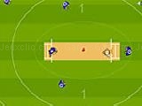 Play Cricket world cup 2011
