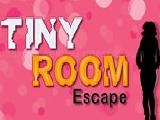 Play Tiny room escape