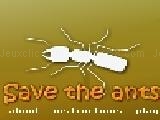 Play Save the ants