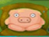 Spielen Pigdreams