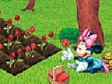 Play Micky planting flowers