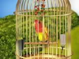 Play Bird cage decor