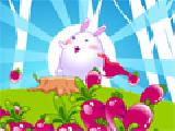 Play Rabbit save the world