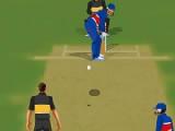Play Cricketer premier league