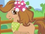 Play Cute horse dress up