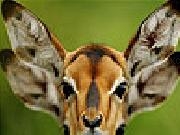 Jugar a Confused deer puzzle
