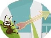 Play Heroic ants