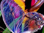Play Cute colorful butterfly puzzle