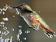 Play Little thirsty sparrow puzzle