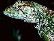 Play Wild iguana slide puzzle