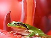 Play Frog and red flower puzzle