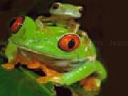 Play Cute green frogs slide puzzle