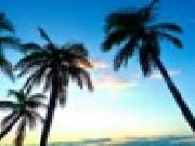 Play Tropical beach jigsaw