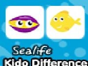 Play Kido difference - sea life