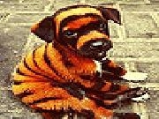 Play Confused dog puzzle