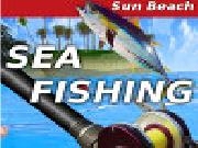 Play Sea fishing:sun beach
