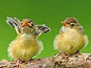 Play Two cute sparrow puzzle