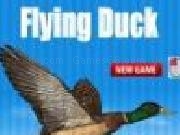 Play Flying duck 2012