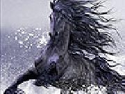 Play Wild black horse slide puzzle