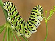 Play Cute colored caterpillar slide puzzle