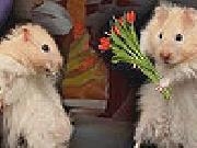 Play Cute mice slide puzzle