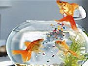 Play Nice hungry fishes slide puzzle