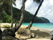 Jugar a Jigsaw: tropics