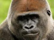 Jugar a Gorila