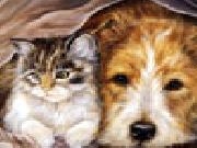 Play Cat and dog