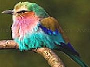 Play Colored sparrow slide puzzle