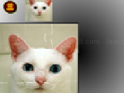 Play Cat jigsaw puzzle game