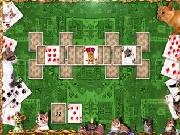 Play Cats house solitaire