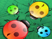 Play Beetles