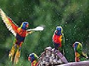 Play Flying birds slide puzzle