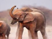 Play Elephant jigsaw