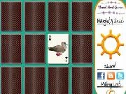 Play Funny bird names