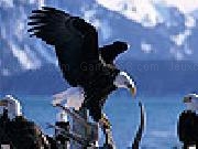 Play Old eagles slide puzzle