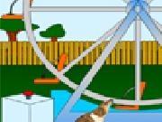 Play Animal shelter escape 2: oddball's a fair